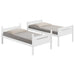 Littleton Bunk Bed - LATIN HOME FURNITURE - (POMONA,CA)
