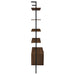 Owens Wall Shelf - LATIN HOME FURNITURE - (POMONA,CA)