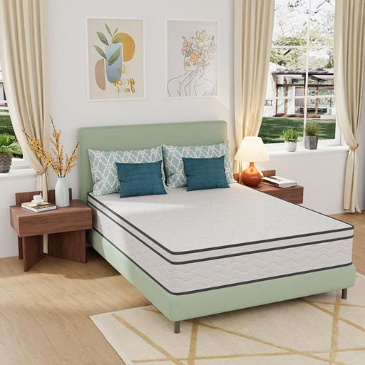 Catmint 12" Queen Innerspring Mattress - LATIN HOME FURNITURE - (POMONA,CA)