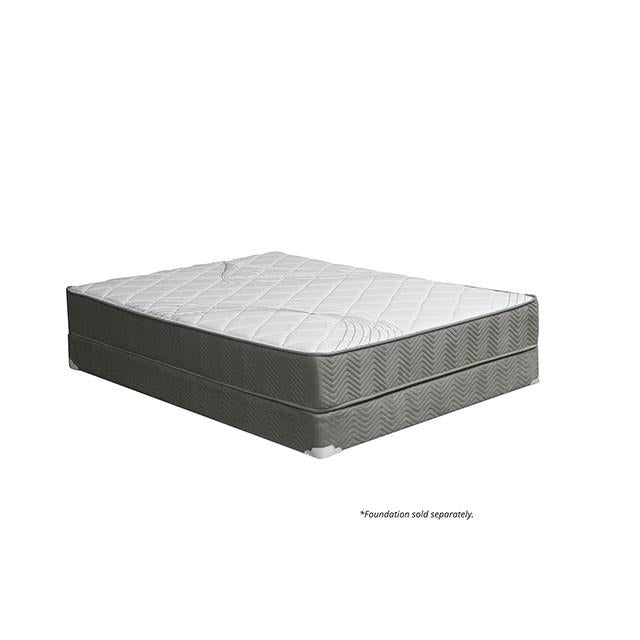 EDREA White/Gray 10" Tight Top Pocket Coil, Cal.King - LATIN HOME FURNITURE - (POMONA,CA)