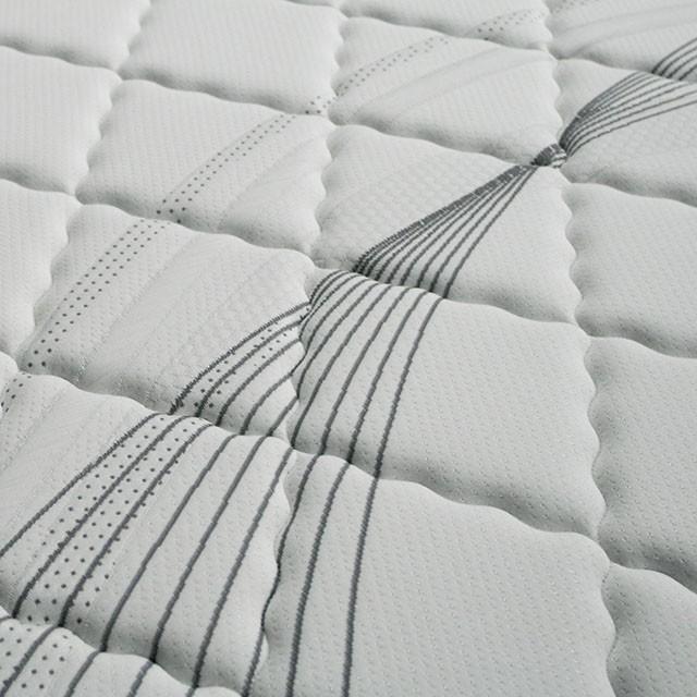 EDREA White/Gray 10" Tight Top Pocket Coil, Queen - LATIN HOME FURNITURE - (POMONA,CA)