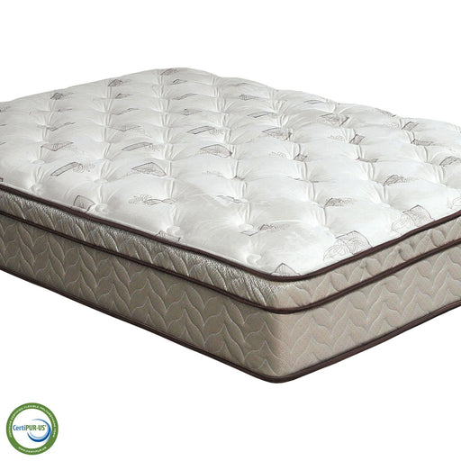 Lilium White/Brown 13" Euro Pillow Top Mattress, Twin - LATIN HOME FURNITURE - (POMONA,CA)