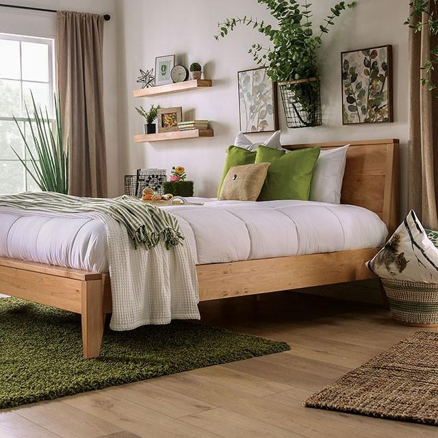 Willamette Collection