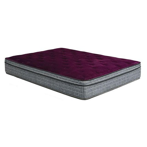 Purple/Grey 13" Euro Pillow Top Mattress Non-Flip, Full - LATIN HOME FURNITURE - (POMONA,CA)