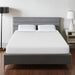 Artemisia 10" Memory Foam Mattress - LATIN HOME FURNITURE - (POMONA,CA)