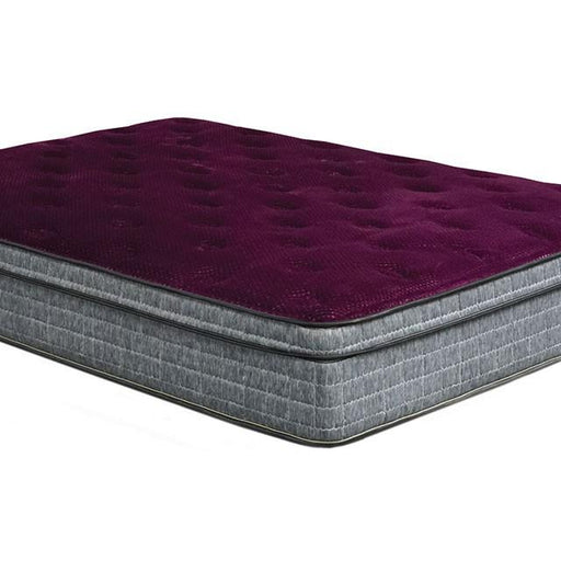 Purple/Grey 13" Euro Pillow Top Mattress Non-Flip, Full - LATIN HOME FURNITURE - (POMONA,CA)