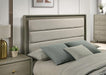Rainier Queen Bedroom Set - LATIN HOME FURNITURE - (POMONA,CA)