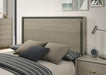 Rainier Queen Bedroom Set Gray - LATIN HOME FURNITURE - (POMONA,CA)