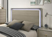 Rainier Queen Bedroom Set Gray - LATIN HOME FURNITURE - (POMONA,CA)