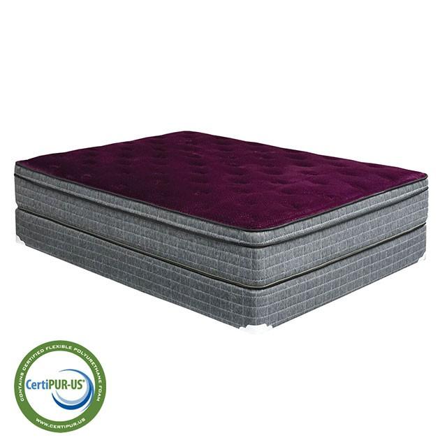 Purple/Grey 13" Euro Pillow Top Mattress Non-Flip, Full - LATIN HOME FURNITURE - (POMONA,CA)