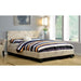 Evans E.King & Cal.King Bed Espressso, White, & Camel - LATIN HOME FURNITURE - (POMONA,CA)