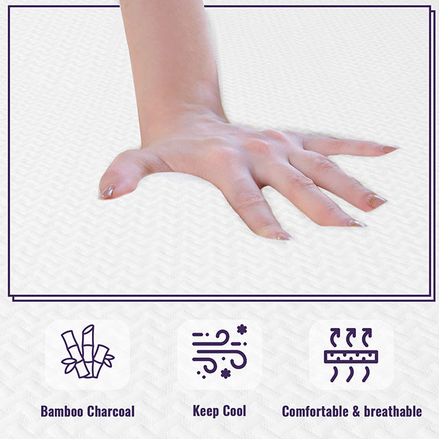 Nasturtium 10" Twin Bamboo Charcoal Infused Memory Foam - LATIN HOME FURNITURE - (POMONA,CA)