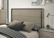 Rainier Queen Bedroom Set Gray - LATIN HOME FURNITURE - (POMONA,CA)