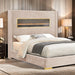 Danvers Bed - LATIN HOME FURNITURE - (POMONA,CA)
